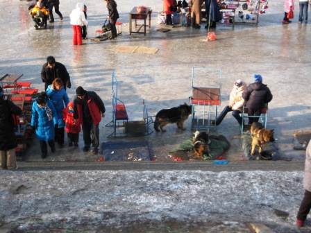 Eisflche in Harbin