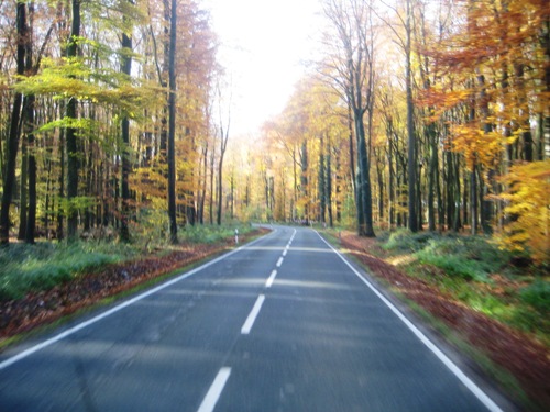 Herbstlandschaft!