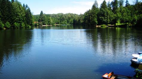 Der Waldsee in Murrhardt-Fornsbach