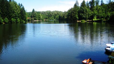 Der Waldsee in Murrhardt-Fornsbach