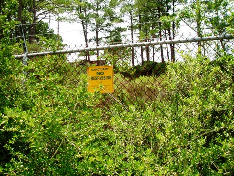Die Plantage auf der frher Sklaven gearbeitet hatten war leider geschlossen.