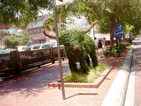 Fort Worth Innenstadt