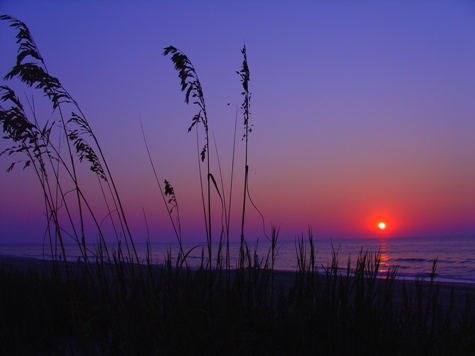 Dnen bei Myrtle Beach